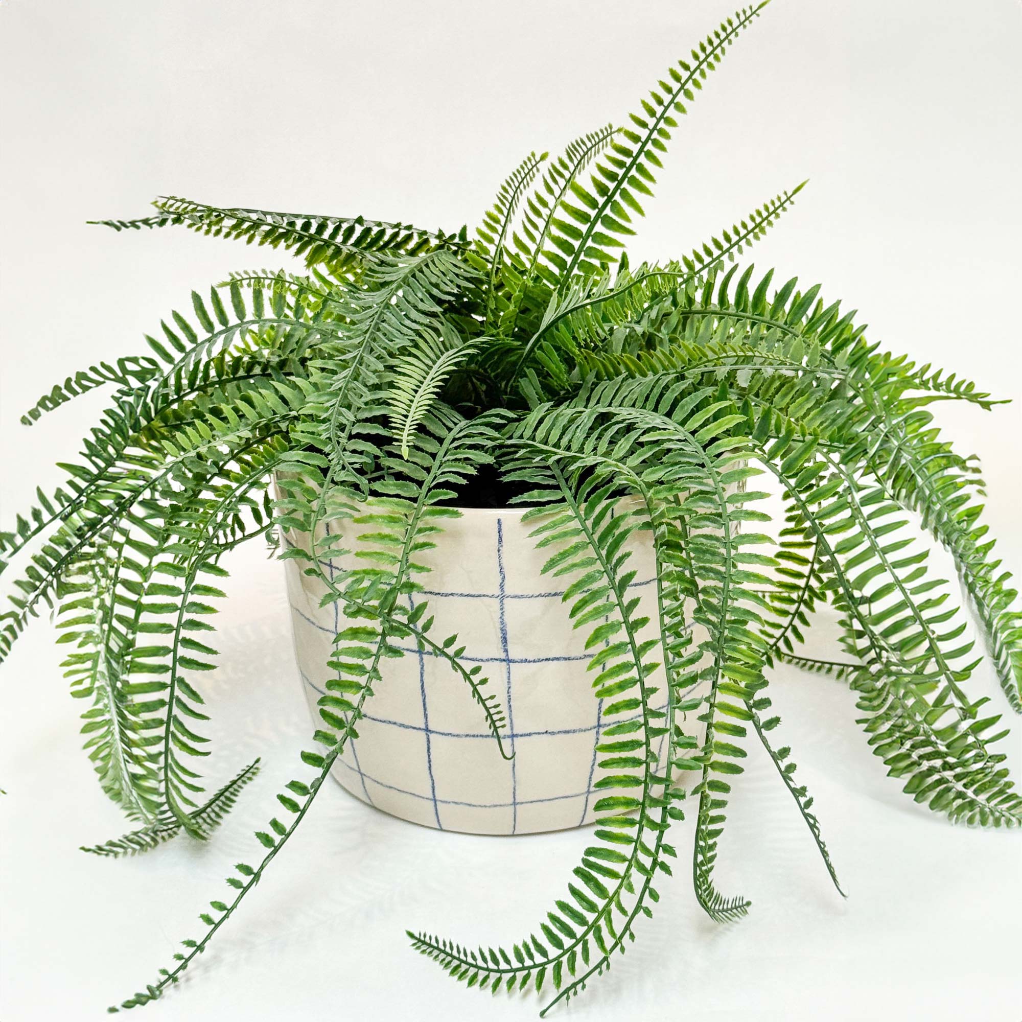 Håndlavet keramik urtepotte med blå tern og blank glasur, med en grøn plante i.