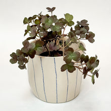 Håndlavet keramik urtepotte med blå striber og blank glasur, med en plante i.