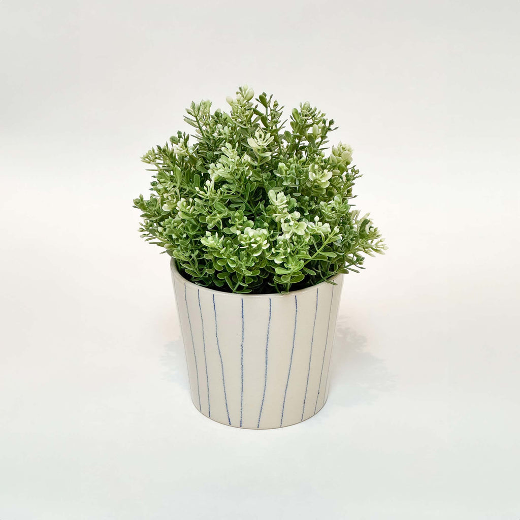 Håndlavet keramik urtepotte med blå striber og blank glasur, med en grøn plante i