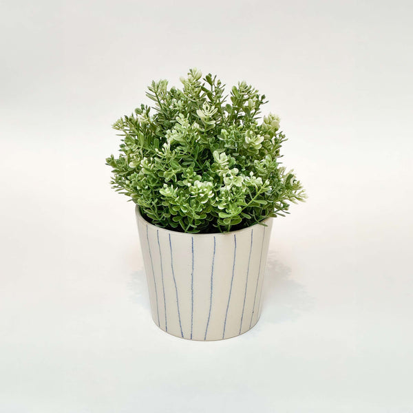 Håndlavet keramik urtepotte med blå striber og blank glasur, med en grøn plante i