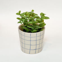 Håndlavet keramik urtepotte med blå tern og blank glasur, med en grøn plante i.