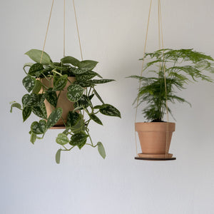 Lyng │ Planteophæng - LEERBAEK - grønne planter - indretning - plantevæg - indretning med planter - planteophæng